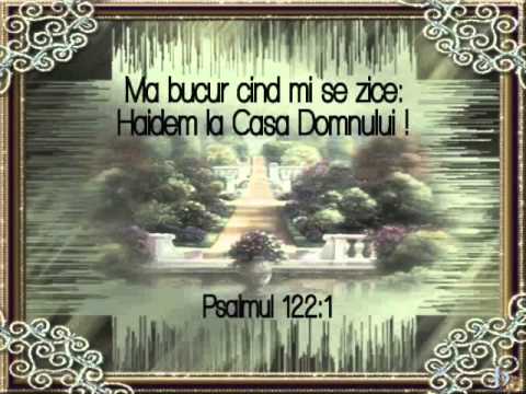 Doar o coliba -- Grupul Eliezer