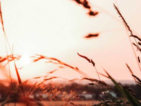 Elevation feat. Justine Suissa - Somewhere [2004] HQ