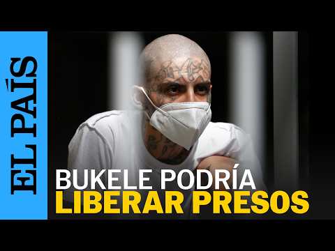 PANDILLEROS de El Salvador podrían quedar libres por ley Bukele