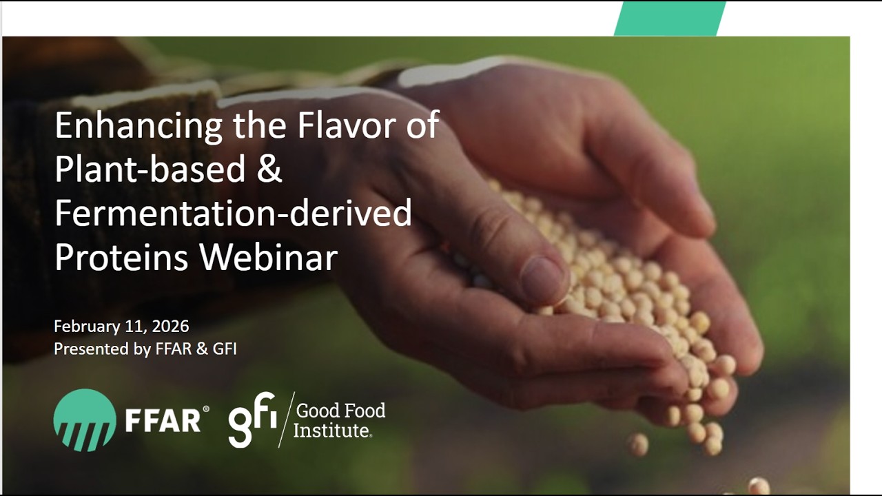 Enhancing the Flavor of Plant-based & Fermentation-derived Proteins Informational Webinar
