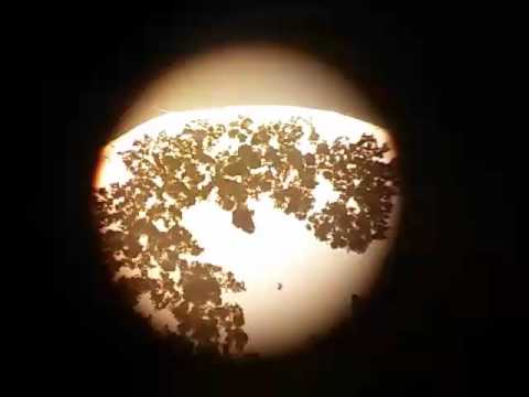 Usf2 with RuTrisbipy attempt no real crystals lots of powder