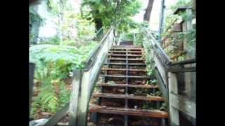 Our Honeymoon in San Francisco