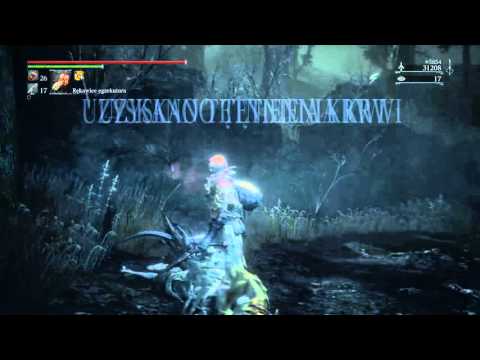 Bloodborn Phooenix35 Łuk