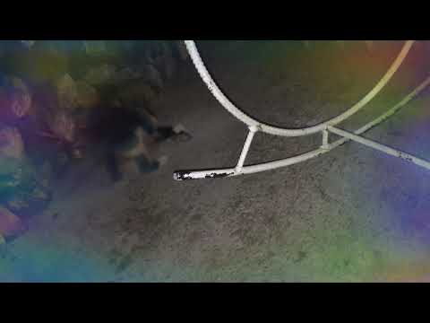 La cena ya casi esta lista yomi yomi 😂