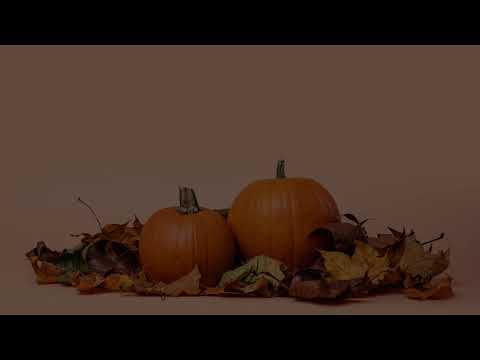 【MotionVFX】mTuber 2 DV YouTube登録＆いいねボタン