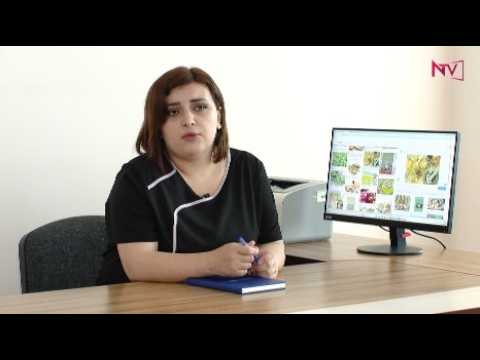 XƏBƏRİNİZ OLSUN 25.06.2026