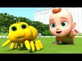 Itsy Bitsy Spider Song Nursery Rhymes Kids Songs