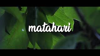 Download lagu story WA payung teduh ;diam mp3