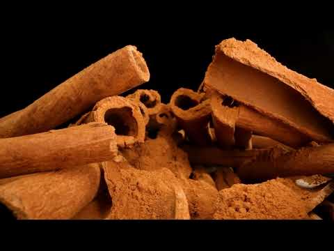 Agro Import Export Business