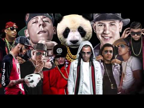 Panda remix