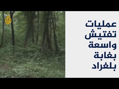 الأمن التركي يبحث عن جثة خاشقجي في غابة بلغراد