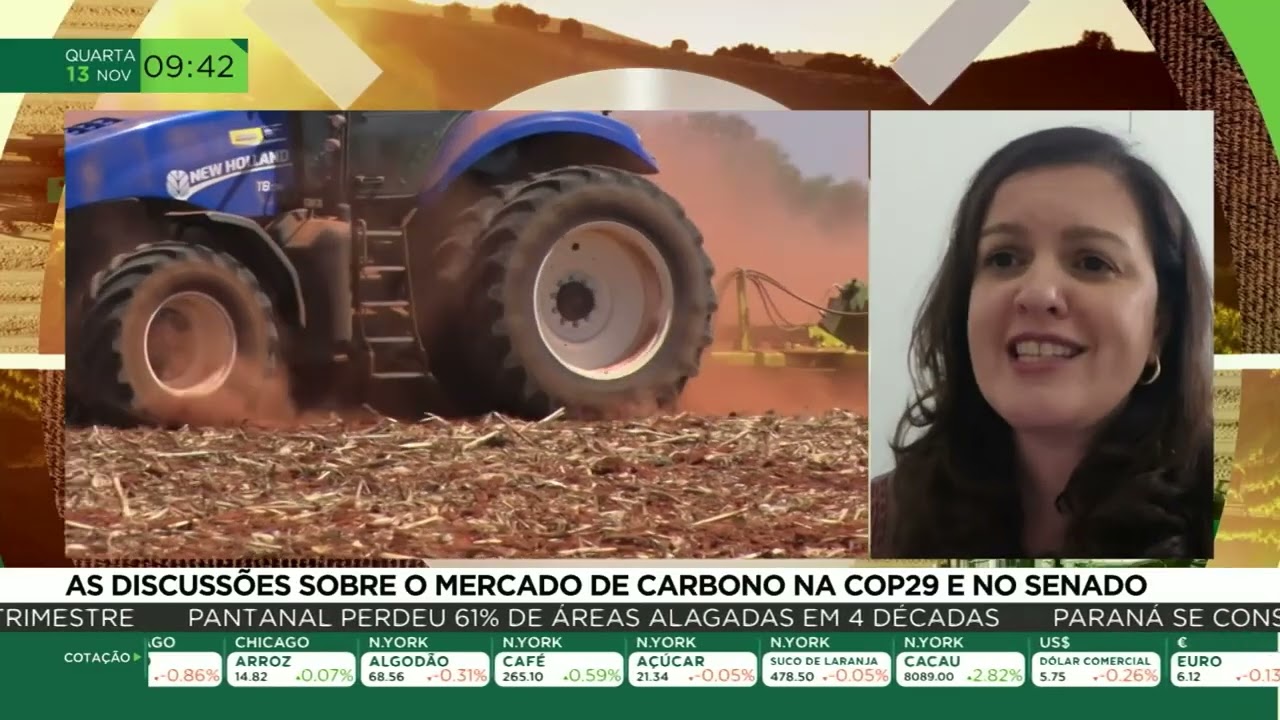 As Discussões sobre o Mercado de Carbono na COP 29 e no Senado