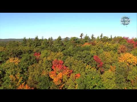 Faça um passeio sobre a bela Massachusetts no outono...