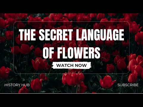 The Secret Language Of Flowers