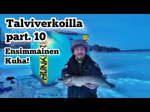 Talviverkkojen kokemista part 10