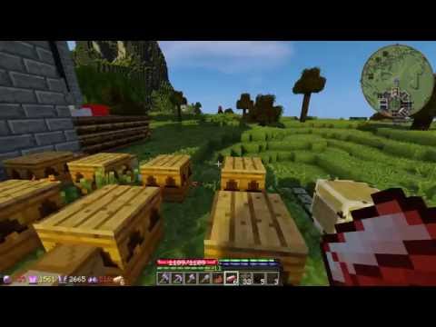 TerraFirmaPunk Let's Play SMP s1e24 - Apiary Automation