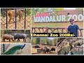 VANDALUR ZOO 2024 Chennai Zoological Park