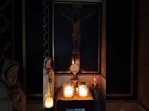 Adoración al Santísimo Sacramento del Altar con el Padre Fabian Esteban Oliva. 03/06/26