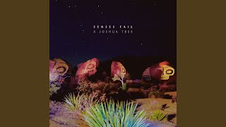 NJ Falls Into the Atlantic (Live)