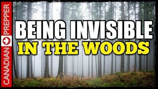 Camouflage and the Wilderness GRAY MAN Camp: Invisible in the Woods