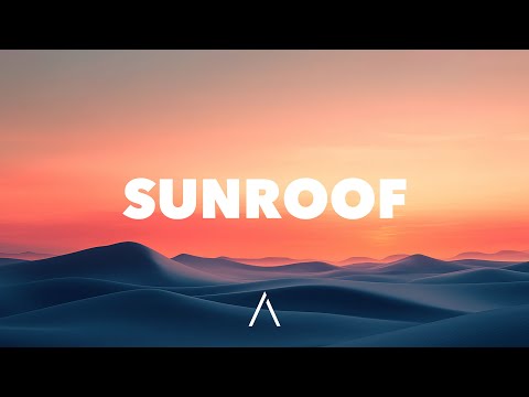 Nicky Youre - Sunroof (Lyrics)