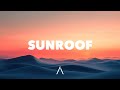 Nicky Youre - Sunroof (Lyrics)