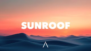 Download lagu Nicky Youre - Sunroof (Lyrics) mp3 Download lagu Nicky Youre - Sunroof (Lyrics) mp3