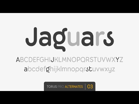 Torus Pro Font Free Download