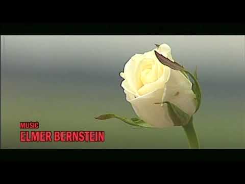 THE GREAT ESCAPE - HUDDERSFIELD TOWN - 1998 - OPENING SEQUENCE