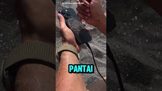Download lagu Pasir Pantai Ternyata Mengandung Magnet Alami #trending #info #hiburan #shorts #shortvideos mp3