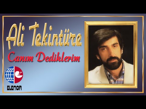 Ali Tekintüre feat Adnan Tayfun Gültekin - Canım Dediklerim