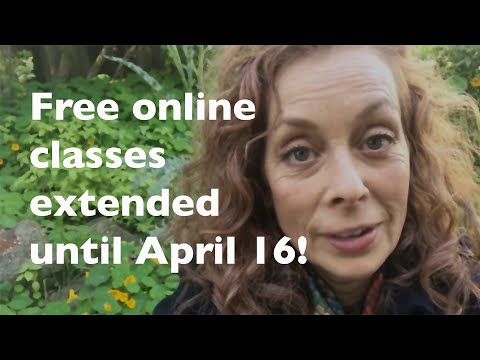 Update and Free Acrylic Painting Class Extended