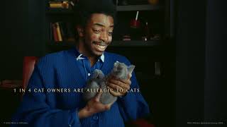 Sheba You'll do anything for a Kitten