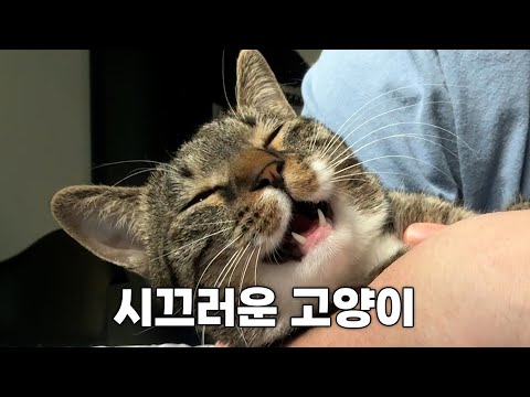 너는 너무 시끄럽고 방정맞아...