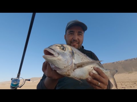 رحلة قصيرة لصيد سمك مصيد شاطئ العائلة 