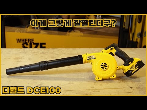 This sells so well?? (DeWalt DCE100)