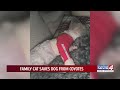 Family cat saves dog from coyotes