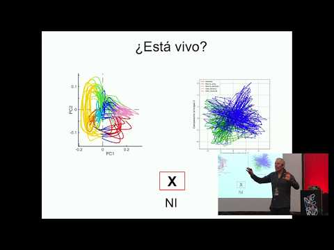 C. Elegans: un cyborg elegante