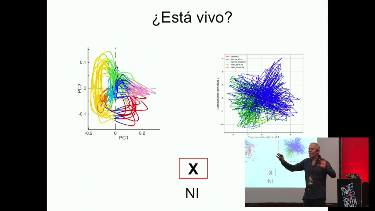 C. Elegans: un cyborg elegante