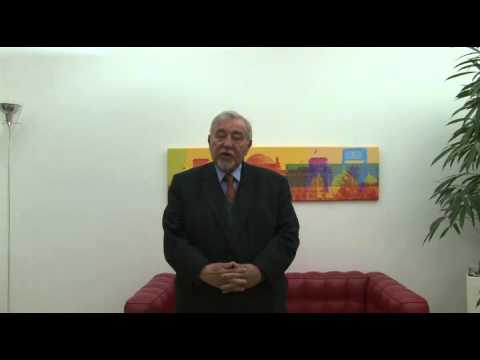 Learning from the U.S. election campaign (2013; in German)