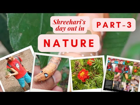 Day Out with Srihari: Discovering Nature's Wonders (Part 3) #kidsvlogs #natureandlife #nature