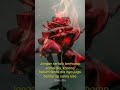 Story Wa 30 Detik