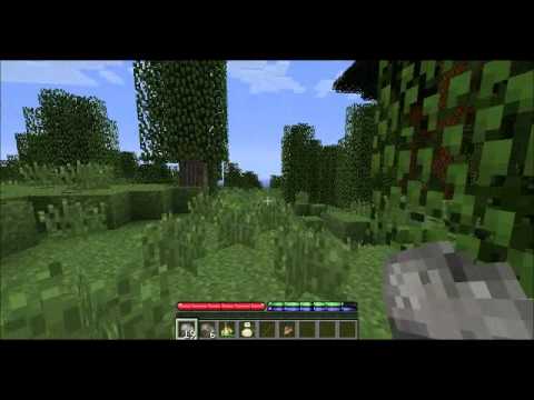 TerraFirmaCraft 1 And it Begins