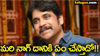 What Nagarjuna Doing for Buyers Loss ? బయ్యర్స్ కి నాగ్ ఏం చేయనున్నాడో