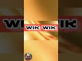 BURUNG WIK WIK