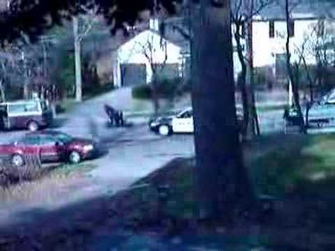 The Takedown! Part 1