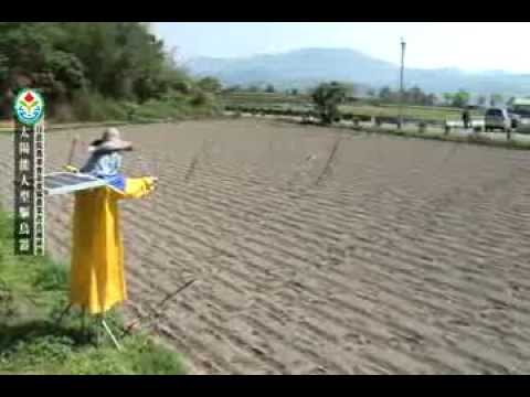 臺東區農業改良場 102年太陽能人型驅鳥器發表紀錄短片