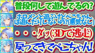 【3D逃走】"悪気のない一言"でぺこらの心の傷(?)を抉ってしまい、3Dで逃走するぺこらに焦り散らかすラミィw【ホロライブ切り抜き/兎田ぺこら/雪花ラミィ】
