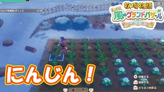 人参に心折られました　part282　【#牧場物語レッツ風のグランドバザール】【#グラバザ】【#グラバザ攻略】