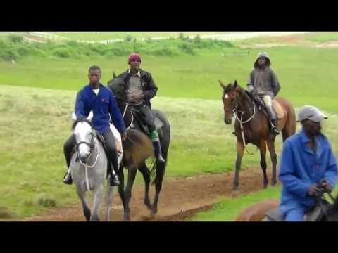 Team G Racing preview